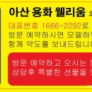 온양중앙초등학교 앞 이미지