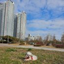 정샘 동물병원 이미지