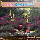 솔바람사이길