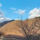 천주봉 캠핑장 이미지