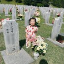 인터프라임 앞 | [아기랑 대전여행]호텔인터시티 / 아이랑 대전여행 호텔 추천