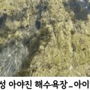 아야진민박 - 고성군 아야진북길 66 | 아야진민박