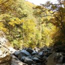 구만동 오토캠핑장 이미지