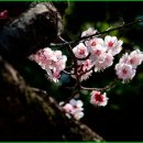 청하중학교 이미지