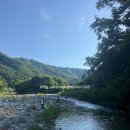 백운쉼터가든 | 서울 근교 계곡 추천 BEST 6, 직접 가보고 비교한 곳