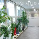 서울시니어스타워(주)인제 | 강서구 요양원 서울시니어스타워 시니어스 너싱홈 쉽게 찾아가기