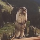 디클래식 안경원 이미지