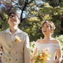 서울시립대 자작마루 웨딩 본식 사진 포토 후기 #딥다운그린 #콰프스튜디오