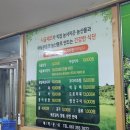 백련동 | [전남 장성] 백련동 시골밥상 후기(feat. 백련동편백농원)