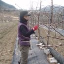 가는골농장 이미지