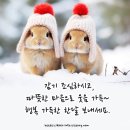 오늘의 운세 이미지