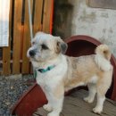 엄마의 뚝심 이미지