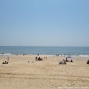 나이스게임장 이미지