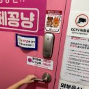 카페꽁냥 네이버블로그