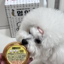 트릿테이블 | [동결건조 간식 후기] 트릿테이블 티티퓨레 4종 흠뻑빠지다