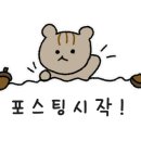 크로플다일다산현대프리미엄
