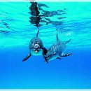 주식회사 서진종합개발 이미지