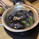 해초과메기양정점 이미지