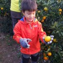 준석농장 이미지