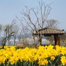 거창-거창-6 이미지