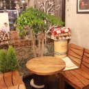 프라넬지산 이미지