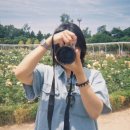 웨딩스토리 이미지