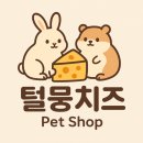 털뭉치즈 | 25년 털뭉치즈 안녕(인천햄스터분양.인천토끼분양.인천피그미다람쥐분양.)