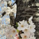 예다사랑 | 사랑 명상 1156