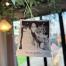 모충사 | 청주 실내 애견동반카페 빈스가든 너무 좋아요