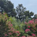 견불동산장 이미지