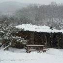 송화네민박 이미지