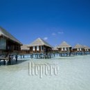 지오메드 이미지