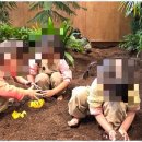 빛나는어린이집 이미지