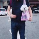 조이그루밍 이미지