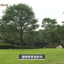 [스트레이트] 용산·한남동·청와대, 그리고 김건희 -3 끝 (이 글만이라도 봐주시긔) 이미지