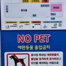 구정(동해방향) 주유소 | 동해에서 속초 가는 길 구정휴게소(속초방향) 후기