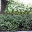 남천병원 이미지