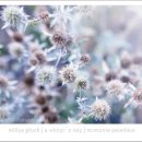 행복페인트 이미지