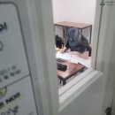 안남중학교 | 창원 남양동 국영수 학원, 시험기간 주말에도 중간고사 보충수업으로 열공 중^^