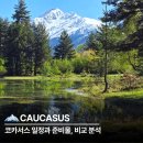 (유)평화항공여행사 | 코카서스 여행 일정 추천과 QnA, 대형 여행사와 비교 분석