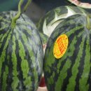 대한민국고엽제전우회 경남지부 김해시지회 이미지