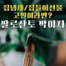 산토 | 인센스스틱 집냄새제거 효과 최고 박이지 팔로산토 실내방향제 후기