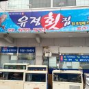 유정횟집 앞 이미지
