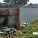 모전농장 뉴시스