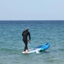 오션서프 이미지