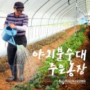 주은농장 이미지