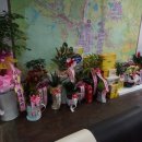 이성애공인중개사사무소 이미지