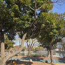 미스터홈즈부동산공인중개사사무소여수웅천 | 여수 단기임대 찾는다면 먼저 확인하세요 (선택 기준 정리)