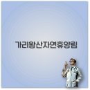 가리왕산 자연휴양림 숲속의 집과 캠핑장 계곡 물놀이 근처 맛집까지 알아보아요