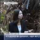 보배농장 이미지
